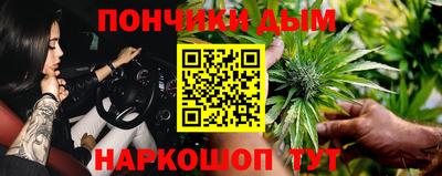 шишки Канаш