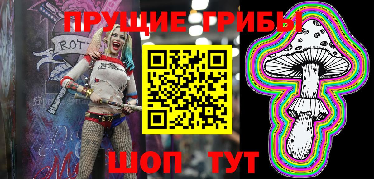 Галлюциногенные грибы Magic Shrooms Котовск