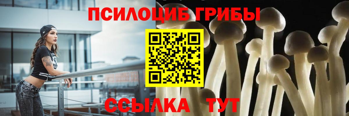 Псилоцибиновые грибы мухоморы  Вход с VPN  закладки  Котовск  Галлюциногенные грибы мицелий 